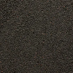 Al Baraka Nigella Seeds | Fayoum, Egypt