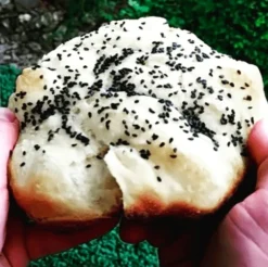 Al Baraka Nigella Seeds | Fayoum, Egypt