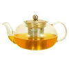 Clear Moments Glass Tea Pot - 27oz