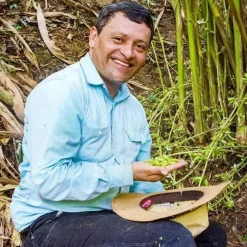 Cobanero Chili | Cobán, Guatemala