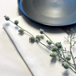 French Linen Napkin - Set of 4