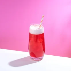 Gwen Highball Everyday Drinking Glasses 18 oz - Set of 4