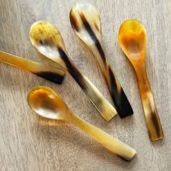 Handcrafted Buffalo Horn Spoon | Set of 2