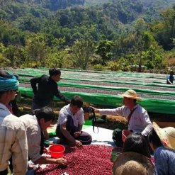 Myanmar, Naung Sam Phu