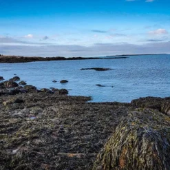 Purple Dulse Flakes - Single Origin Spice & Seasoning