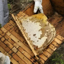 Smoked Woodland Honey - Single Origin Raw Unrefined Honey